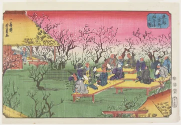 Ansicht des Pflaumengartens in Umeyashiki, Juni 1853